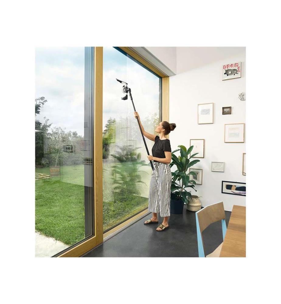 Window cleaner WV 2 Plus P