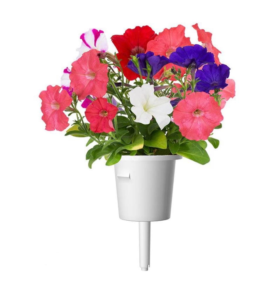 Set di 3 ricariche per SMART GARDEN - Petunia