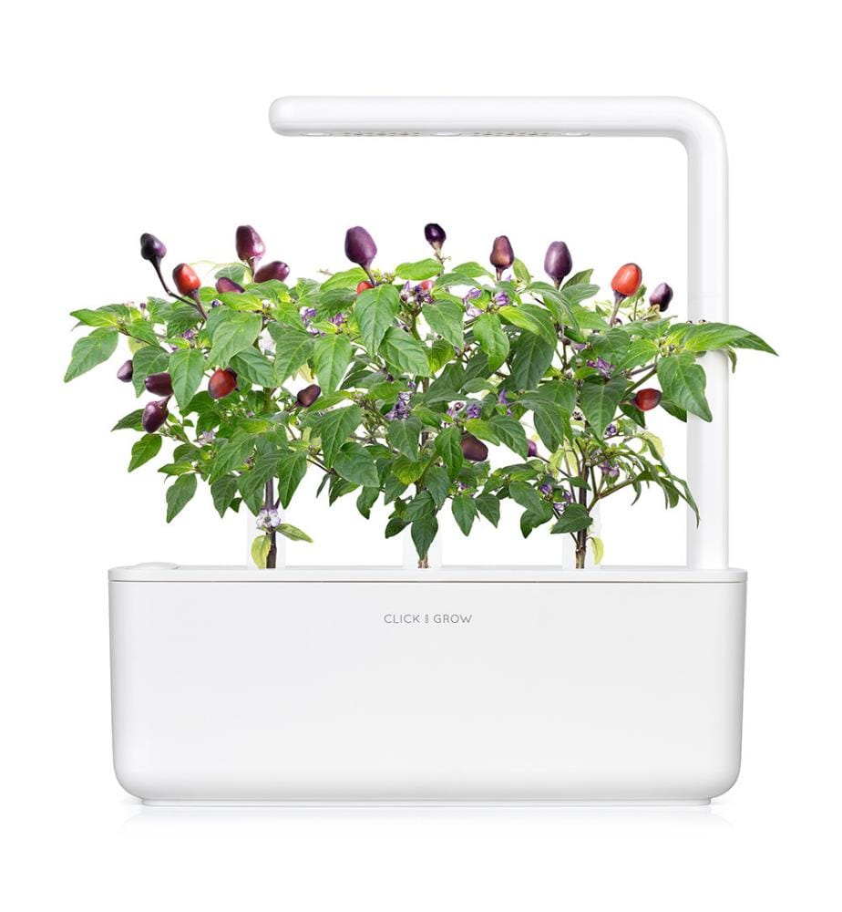 Set di 3 ricariche per SMART GARDEN - Peperoncino