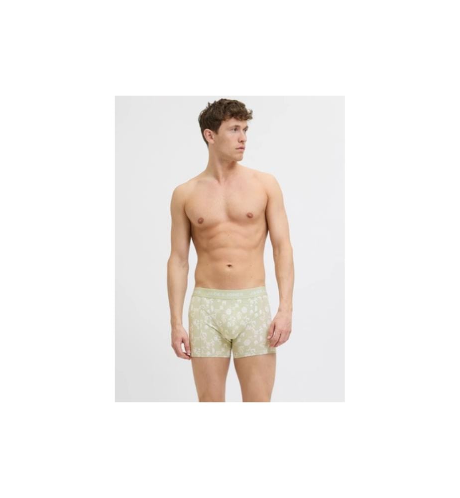 Set di 3 Boxer - Desert Sage Skyway Arabian Spice