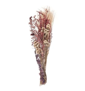 Trockenblumenstrauss ARABA 55 cm Rosa