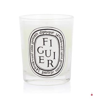 Bougie Parfumée Fig Tree - 190 g