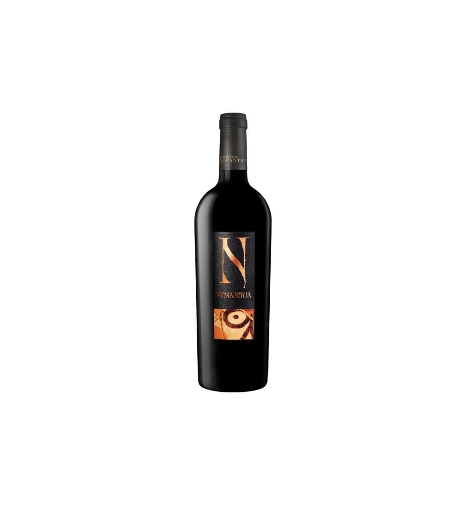 Bodegas Numanthia Numanthia 2019 - 75 cl