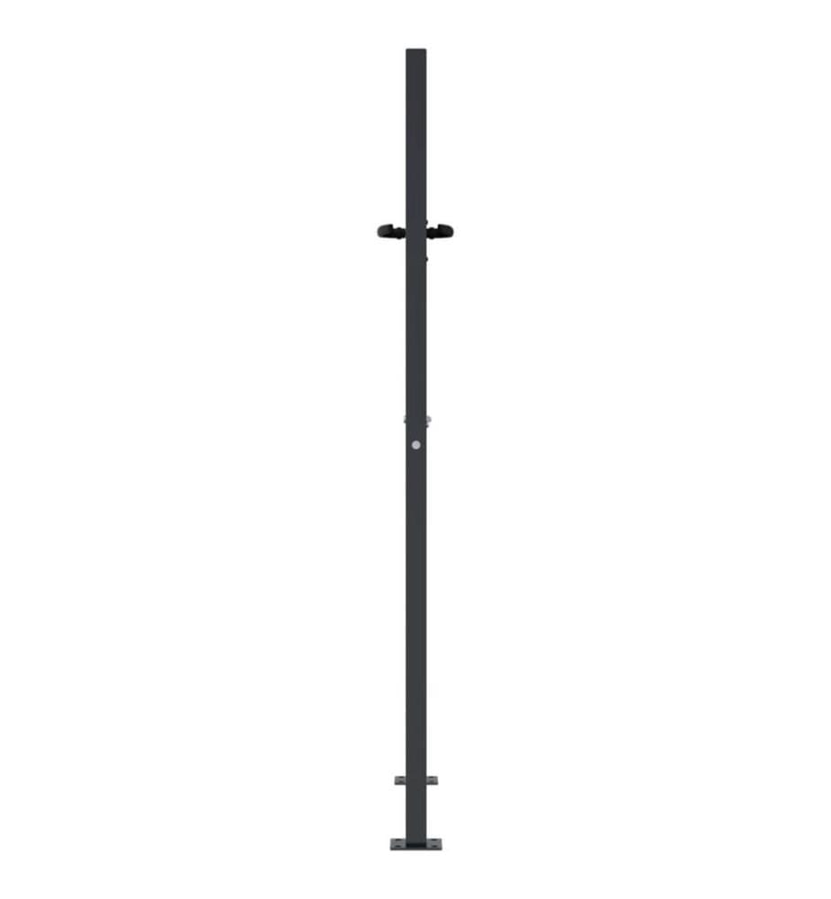 Gartentor Anthrazit 105x155 cm Stahl Gras-Design