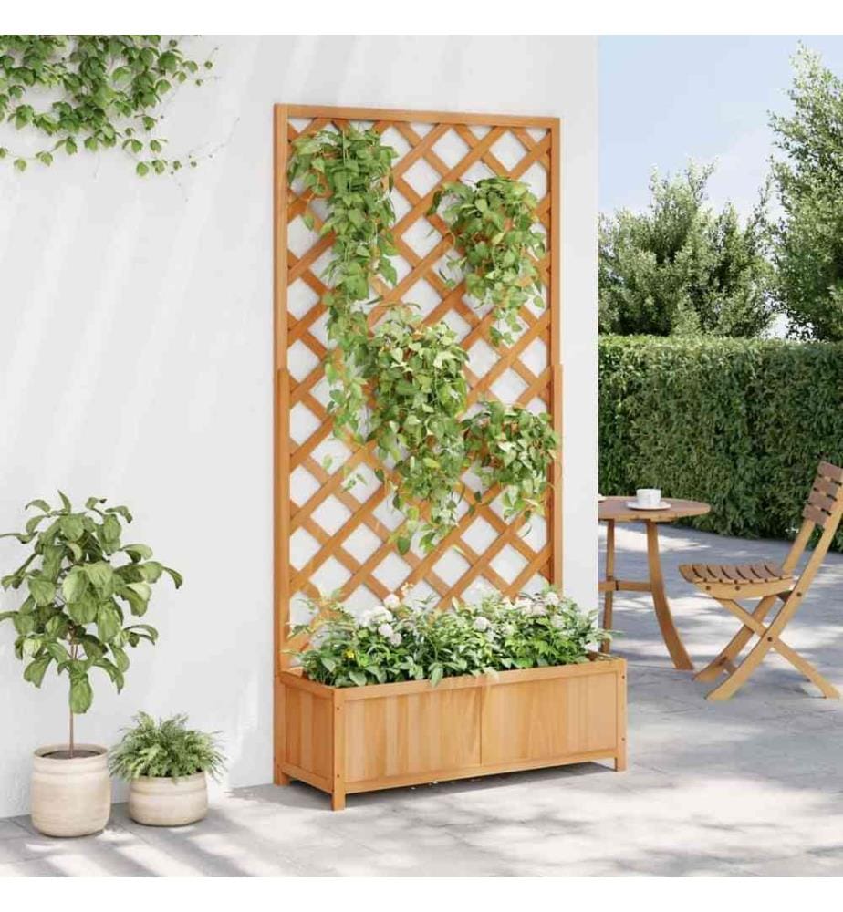 Jardinière avec treillis marron bois massif de sapin