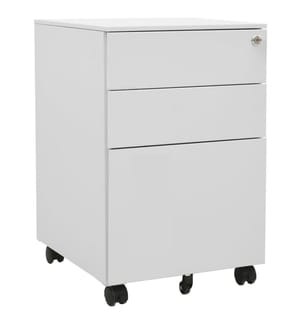 Aktenschrank mit Rollen Hellgrau 39x45x60 cm Stahl