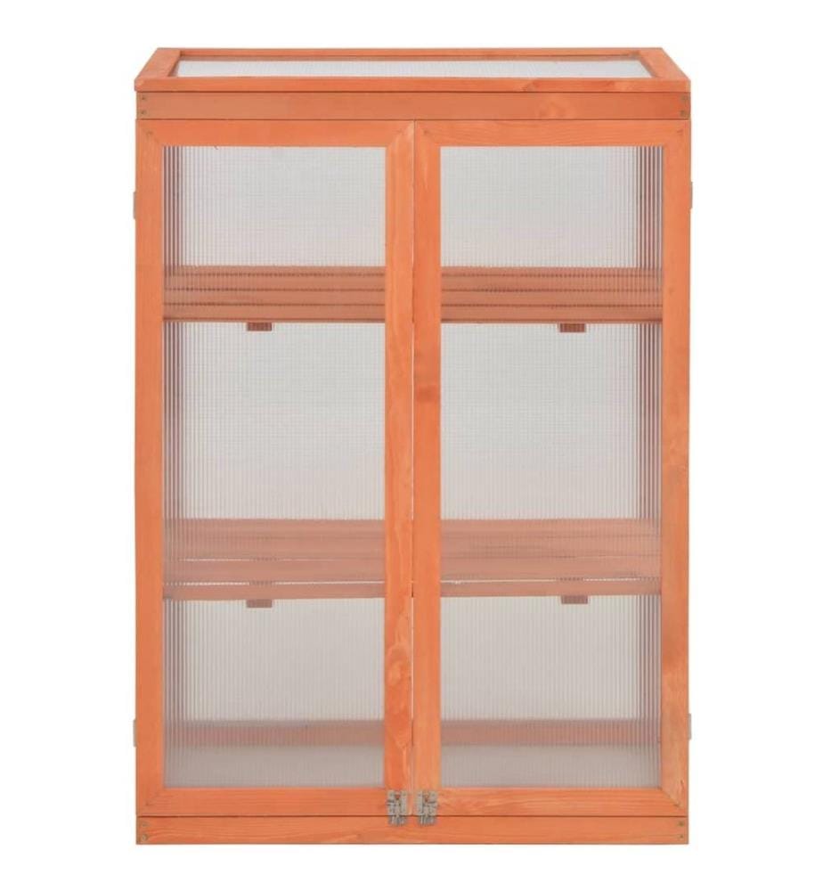 Gewächshaus-Schrank Holz 75x47x109 cm