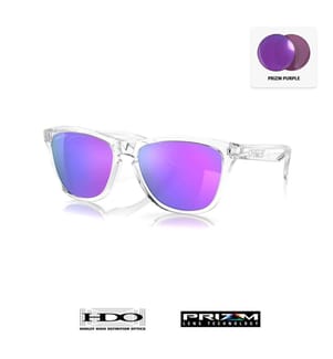 Lunettes de Soleil Frogskins - Verres Prizm Violet - Monture Transparent