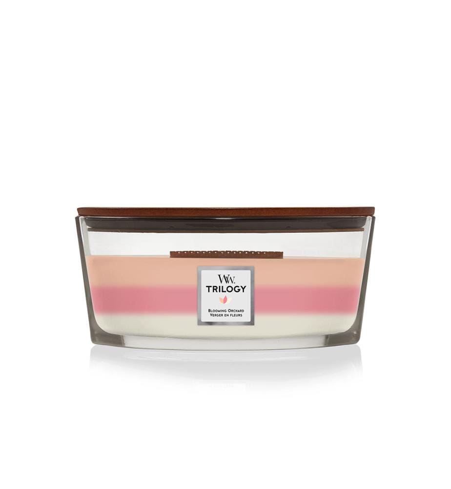 454 g - Bougie Parfumée Blooming Orchard 