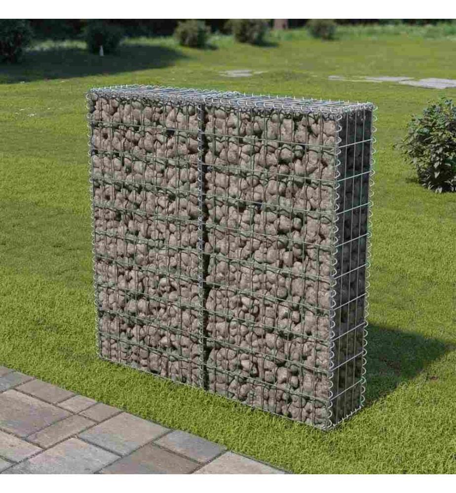 Mur à gabion avec couvercles Acier galvanisé 100x20x100 cm