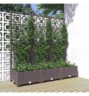 Jardinière avec treillis Marron 120x40x121,5 cm PP