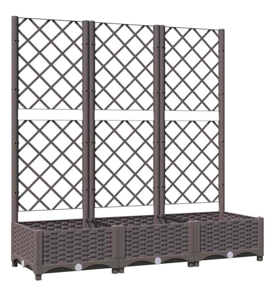 Jardinière avec treillis Marron 120x40x121,5 cm PP