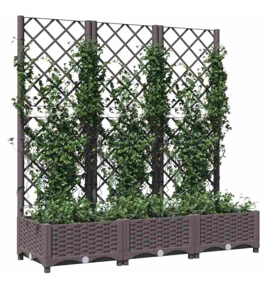 Jardinière avec treillis Marron 120x40x121,5 cm PP