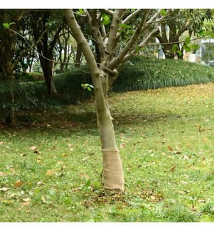 Rouleau de jute 0,25x100 m 100 % jute 200 g/m²