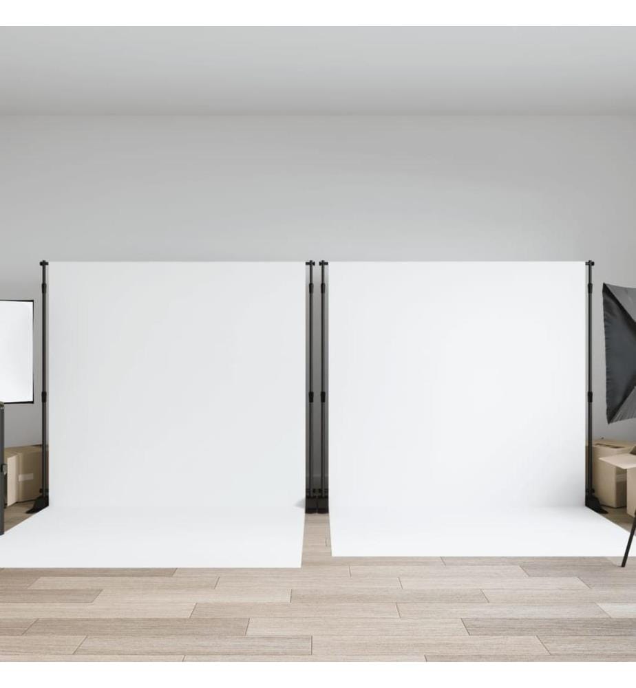 Hintergrundstative 2 Stk. Schwarz 305x243 cm Stahl