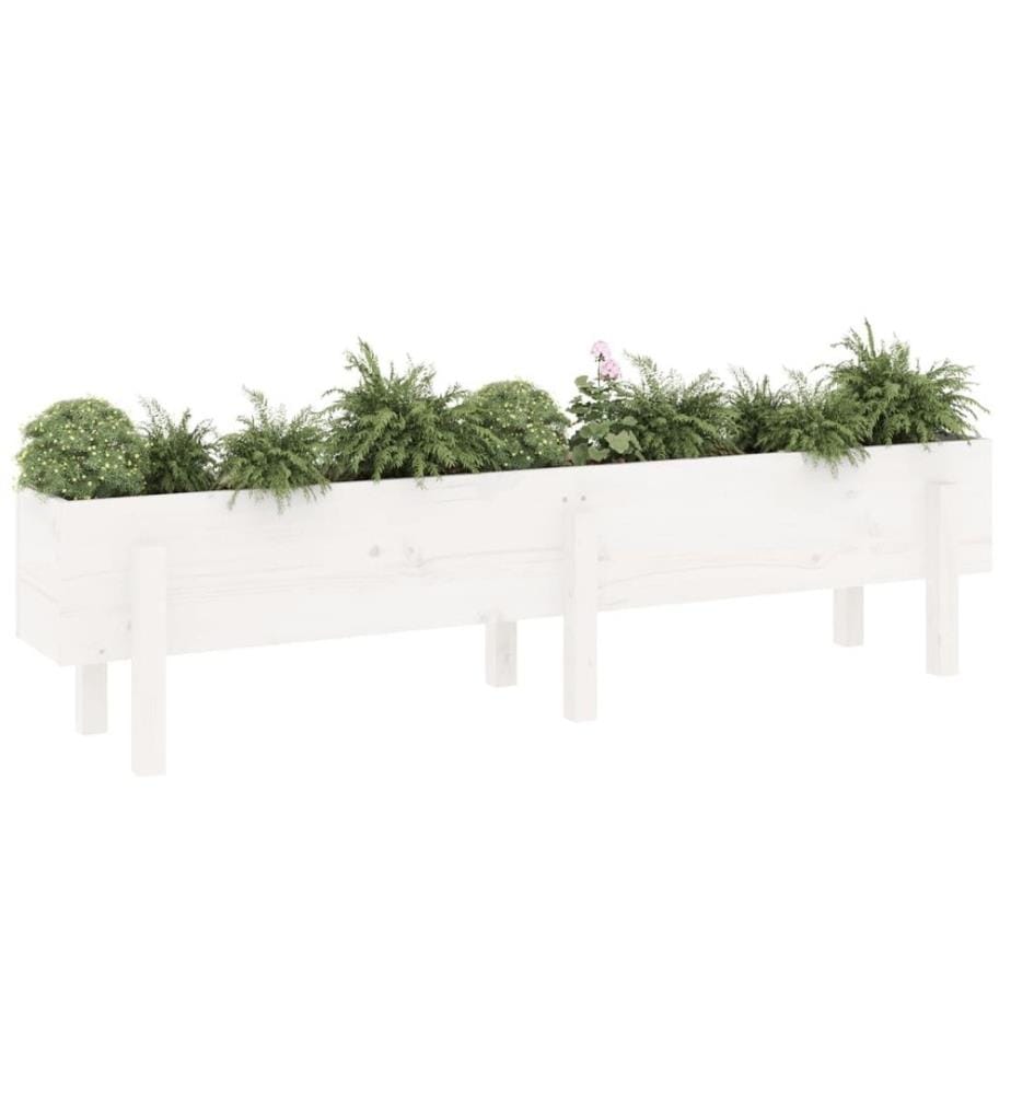 Lit surélevé de jardin blanc 160x30x38 cm bois de pin massif