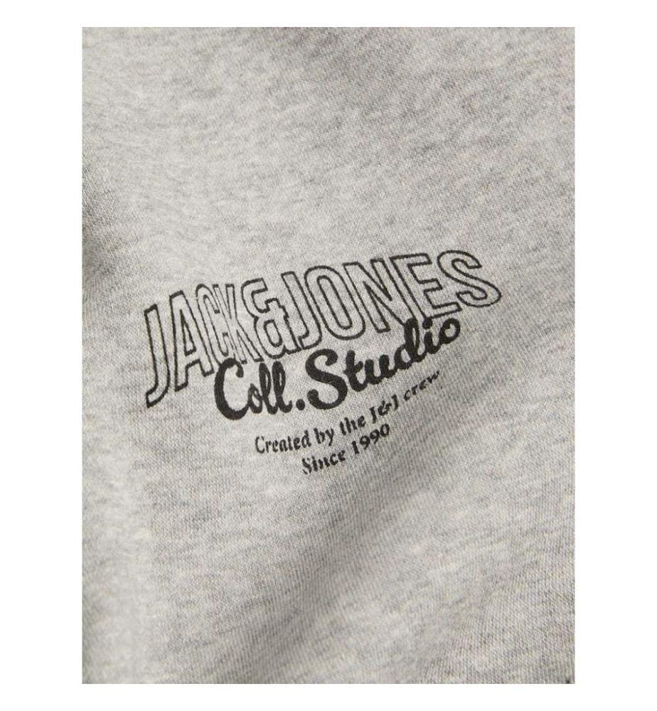 Sweat à capuche zippé - Gris