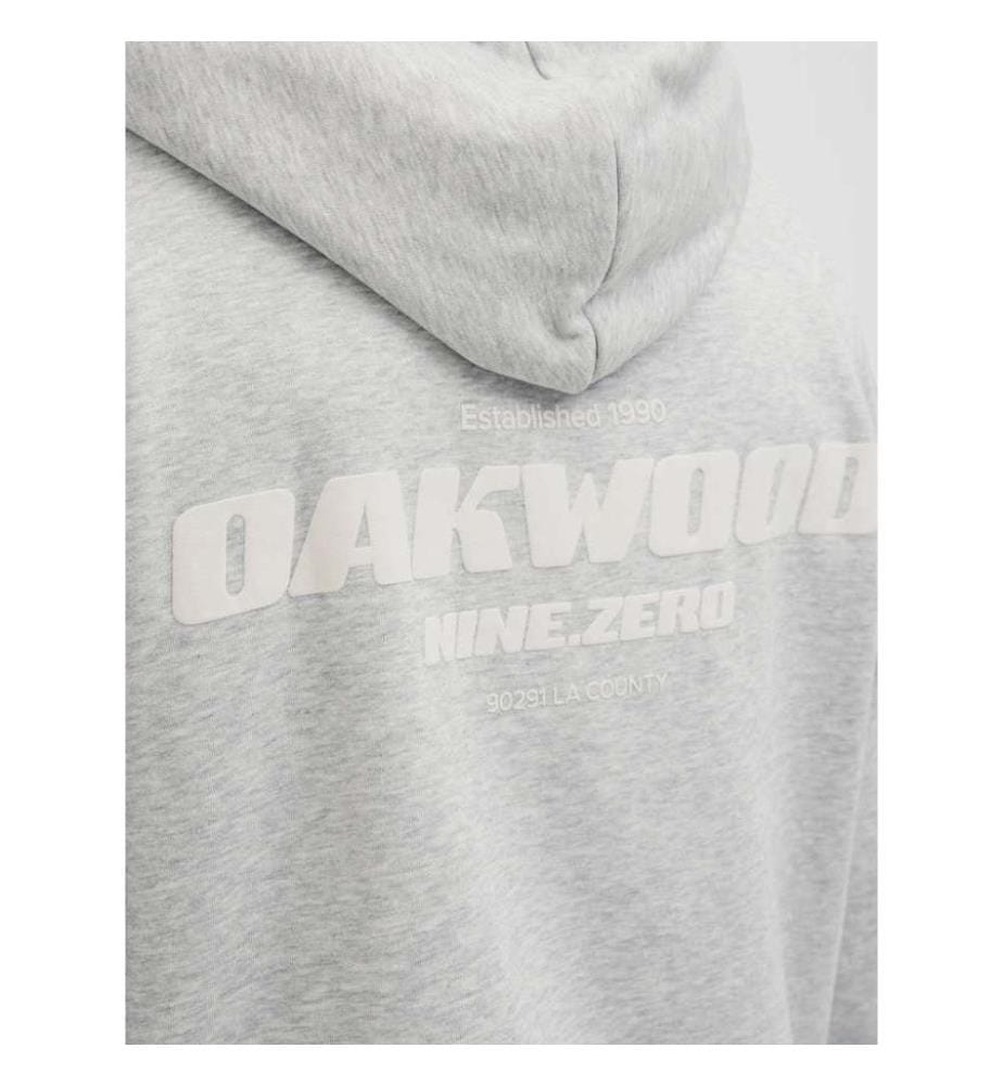 Hoodie imprimé dans le dos - Gris