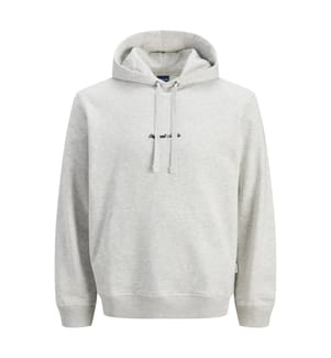 Felpa con cappuccio - Grigio