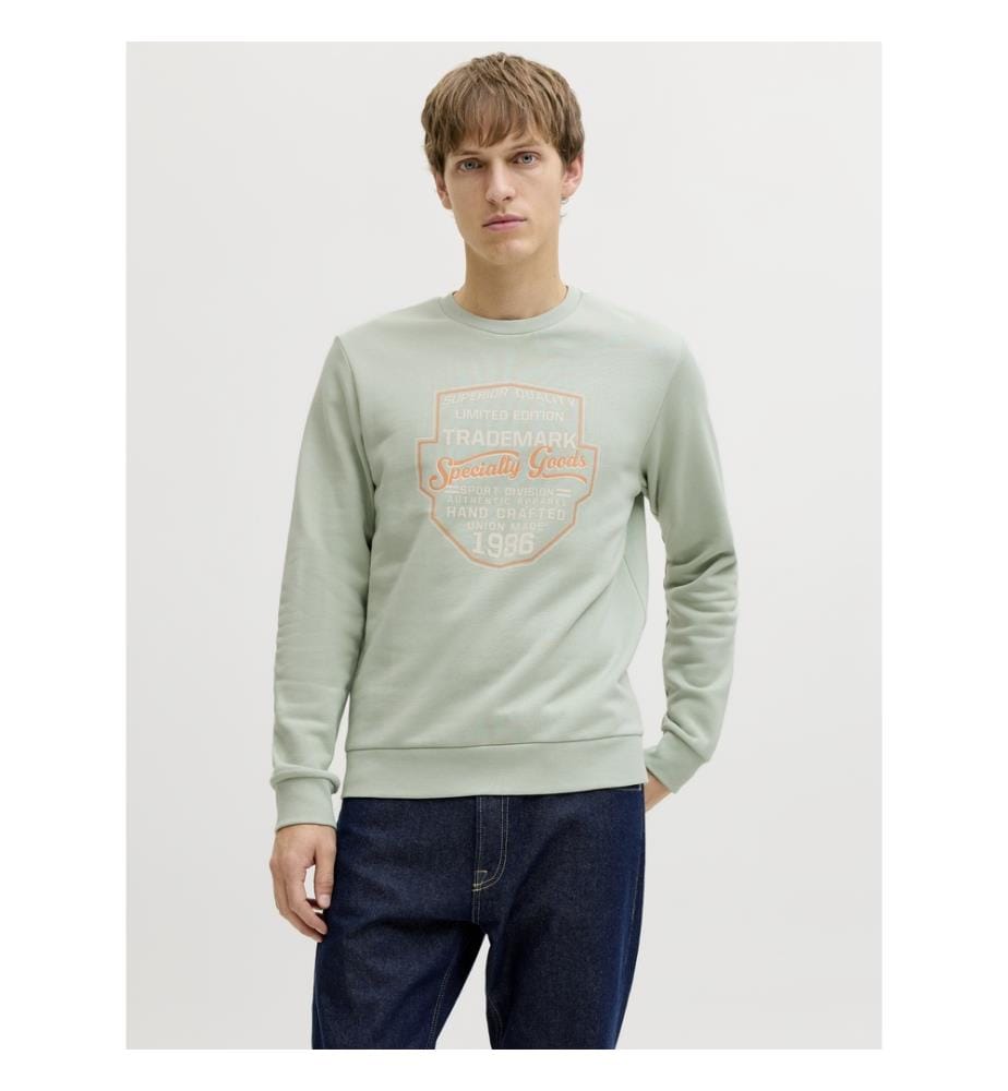 Sweatshirt - Aqua Gray