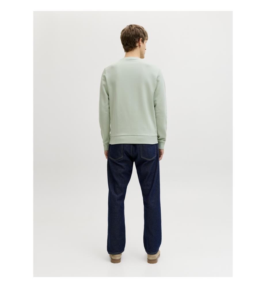 Sweatshirt - Aqua Gray