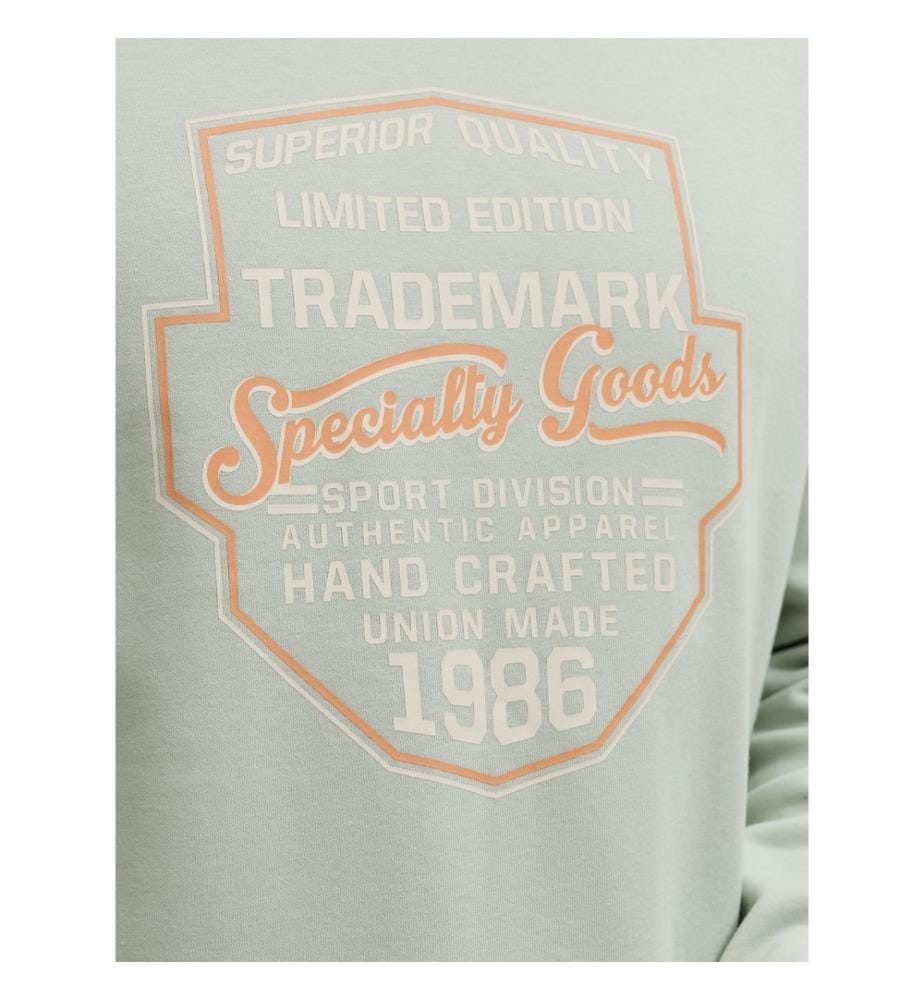 Sweatshirt - Aqua Gray