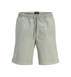 Pantaloncini da jogging - Grigio acqua