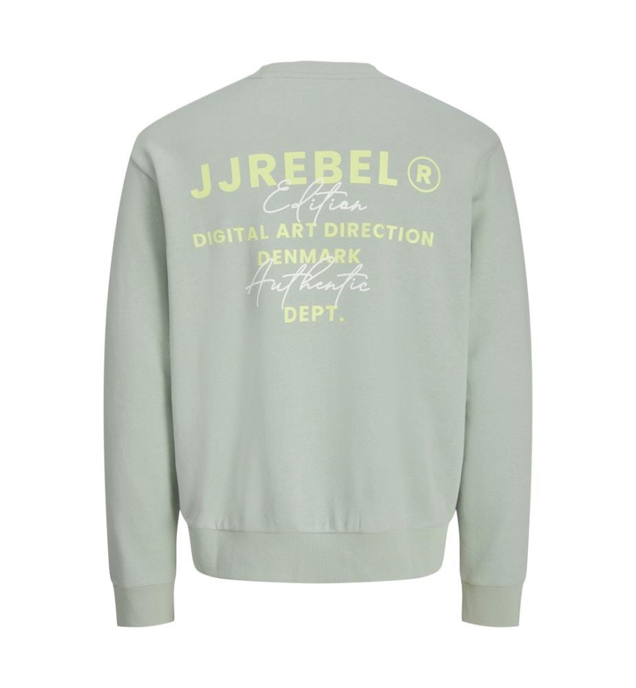 Sweatshirt - Aqua Gray