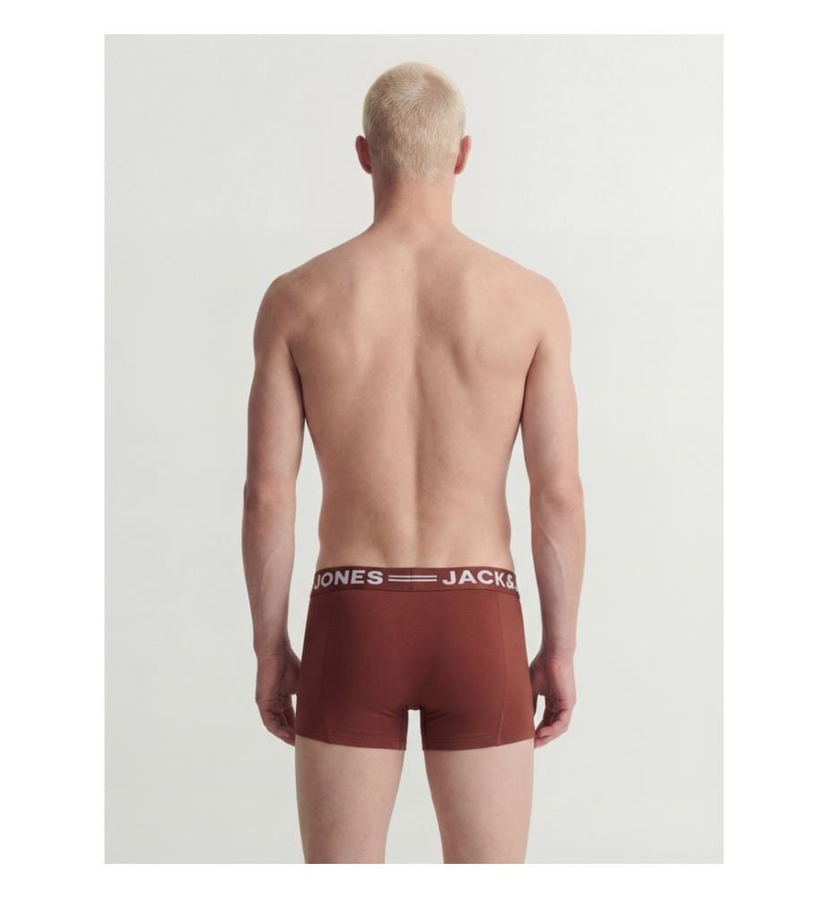 Set di 3 boxer - Scarab