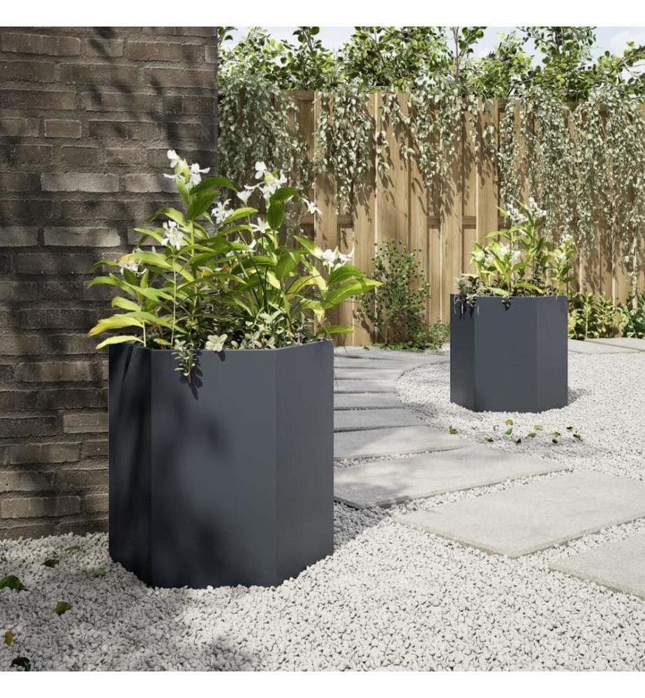 Jardinières 2 pcs anthracite hexagone 46x40x45 cm acier
