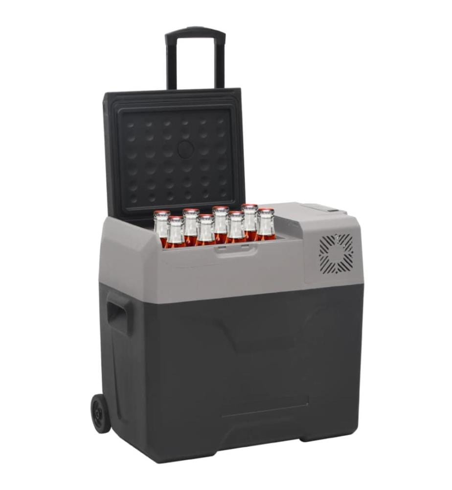 Kühlbox mit Rollen und Adapter Schwarz & Grau 50 L Polypropylen