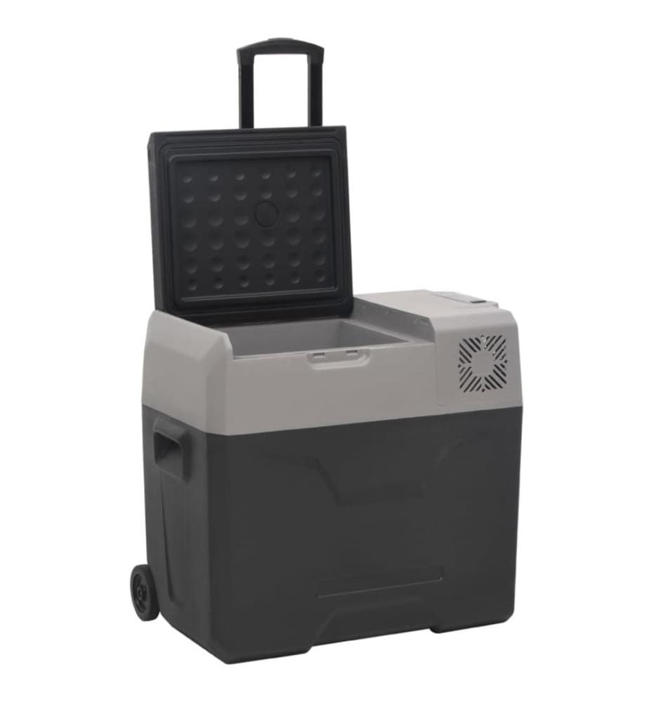 Kühlbox mit Rollen und Adapter Schwarz & Grau 50 L Polypropylen