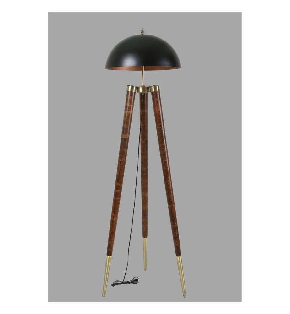 Noir, Couleur De Noix, Lampadaire, Corps De Poutre À Corne