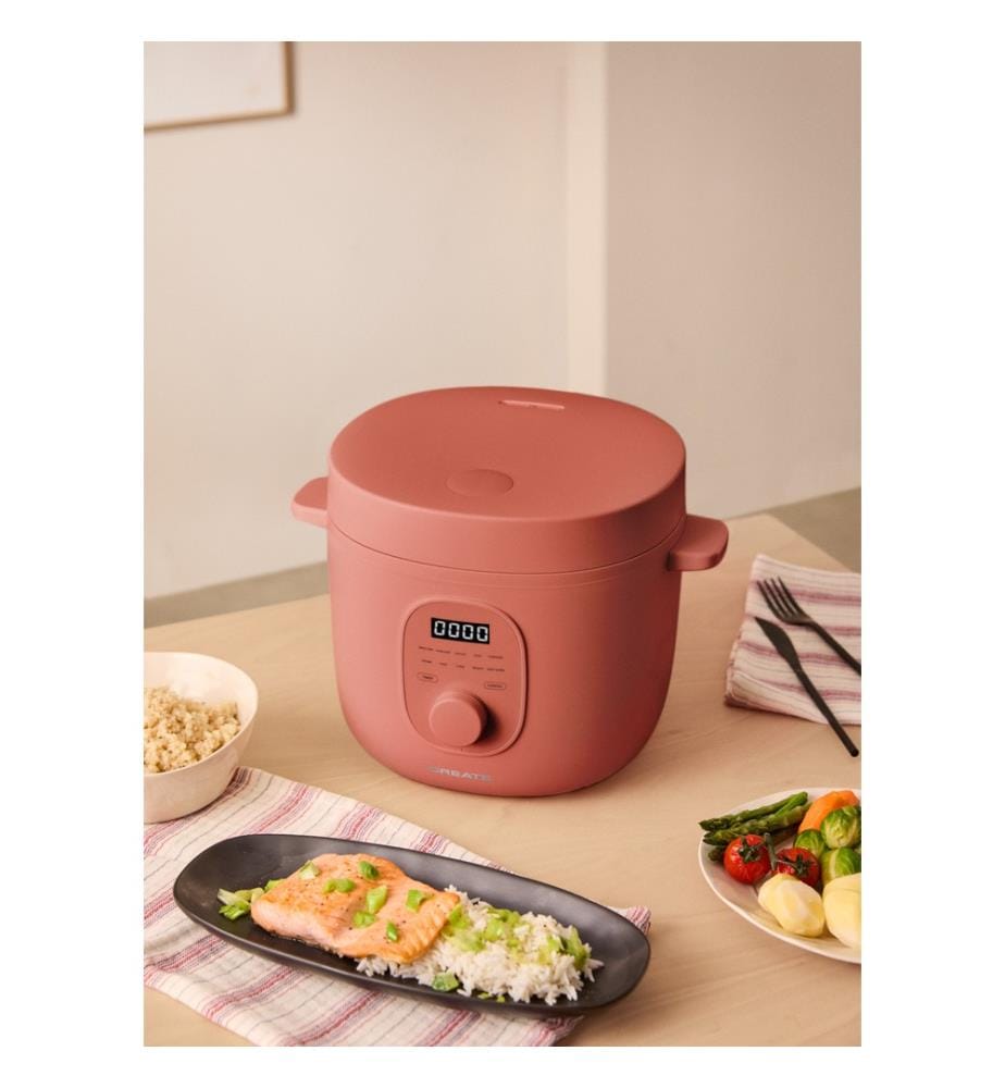 Rice Cooker Studio - Cuiseur à riz - 3L - Terrac… | DeinDeal