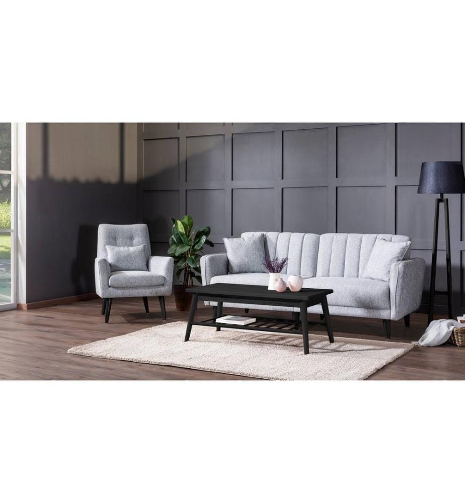 Ensemble canapé-lit, gris, cadre Hornbeam, tissu polyester