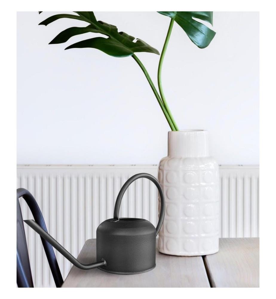 Arrosoir, noir, acier inoxydable