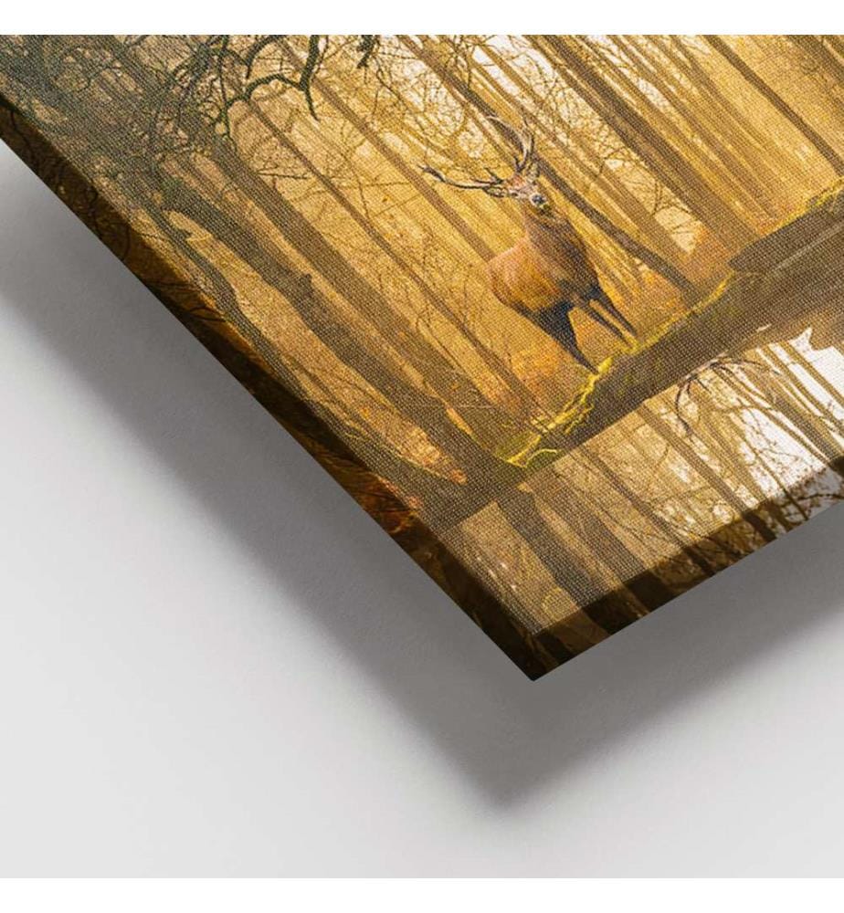 Dekoratives Leinwandbild, mehrfarbig, 100 % LEINWAND, Rahmen: 100 % HOLZ