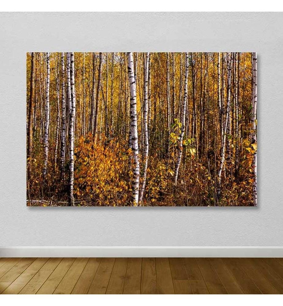 Dekoratives Leinwandbild, mehrfarbig, 100 % LEINWAND, Rahmen: 100 % HOLZ