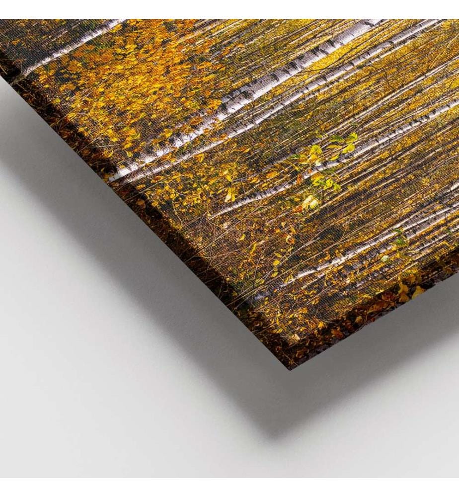 Dekoratives Leinwandbild, mehrfarbig, 100 % LEINWAND, Rahmen: 100 % HOLZ