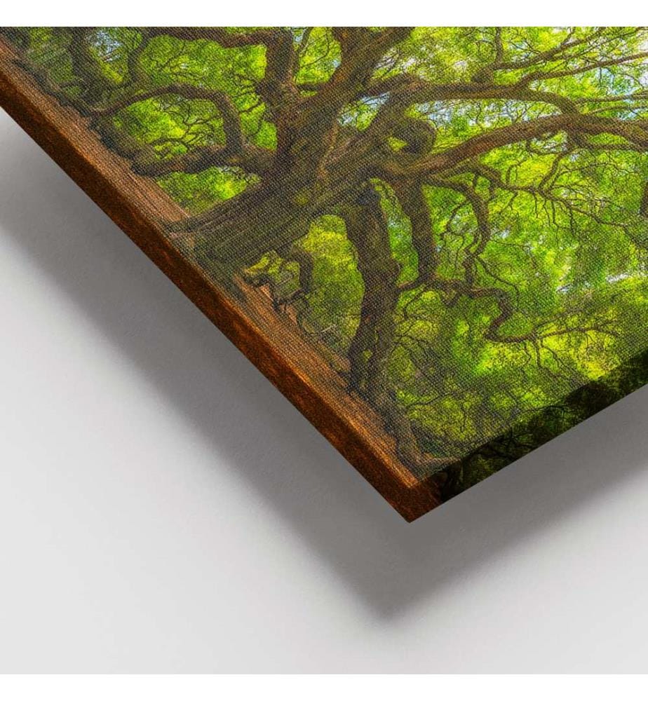 Dekoratives Leinwandbild, mehrfarbig, 100 % LEINWAND, Rahmen: 100 % HOLZ