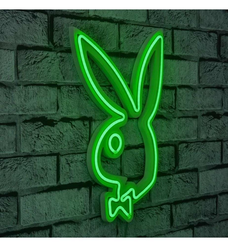 Illuminazione decorativa a LED in plastica, verde, strisce al neon flessibili, tensione di esercizio 12 V CC