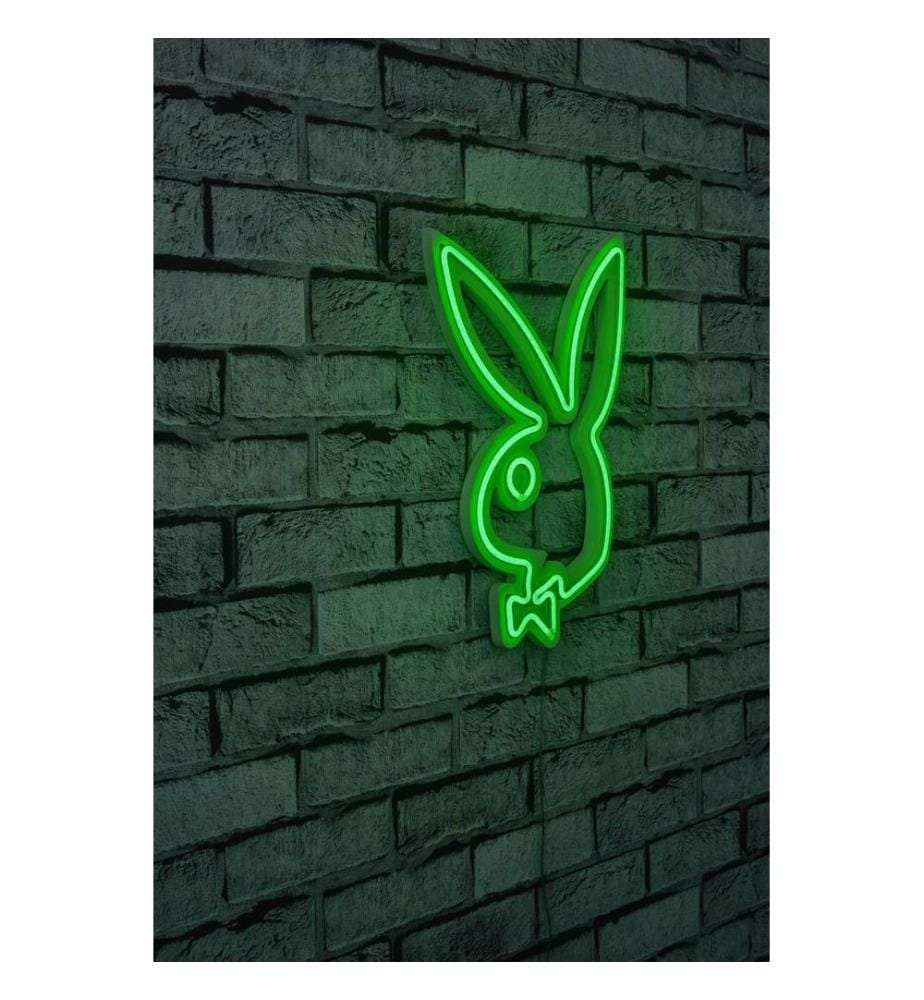 Illuminazione decorativa a LED in plastica, verde, strisce al neon flessibili, tensione di esercizio 12 V CC