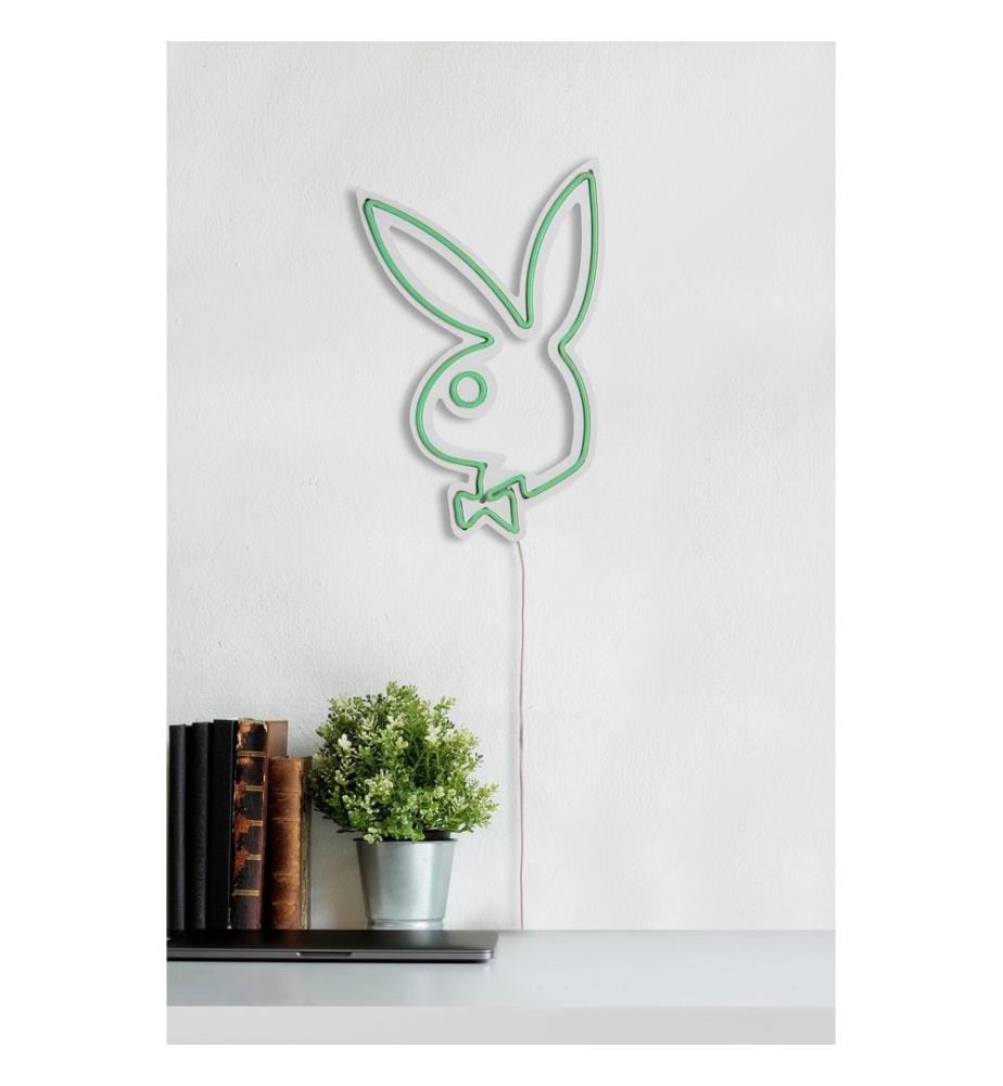 Illuminazione decorativa a LED in plastica, verde, strisce al neon flessibili, tensione di esercizio 12 V CC