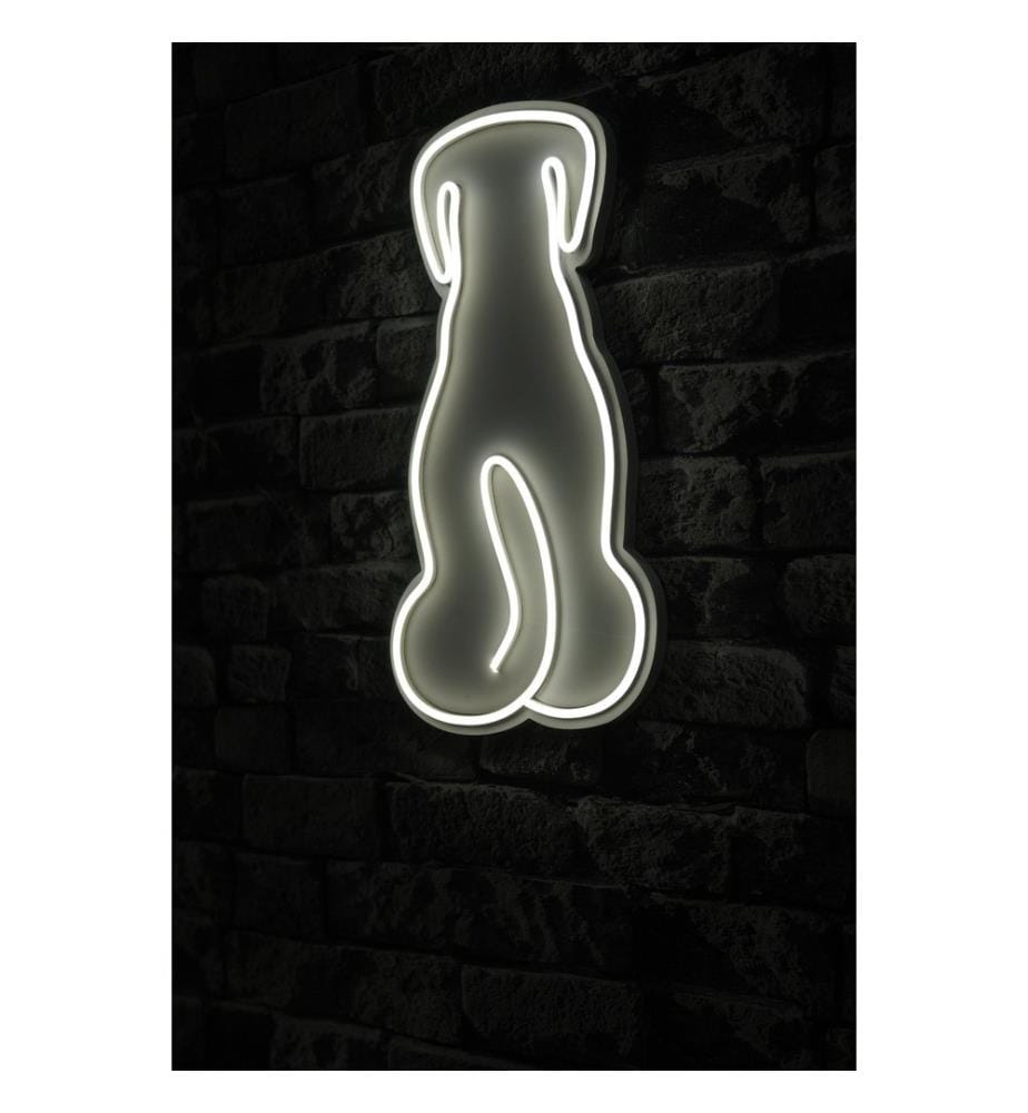 Éclairage décoratif à LED en plastique, blanc, bandes de néon flexibles, tension d'alimentation 12 V