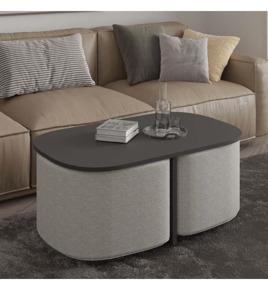 Ensemble table basse, panneau de particules 100 % mélaminé, anthracite
