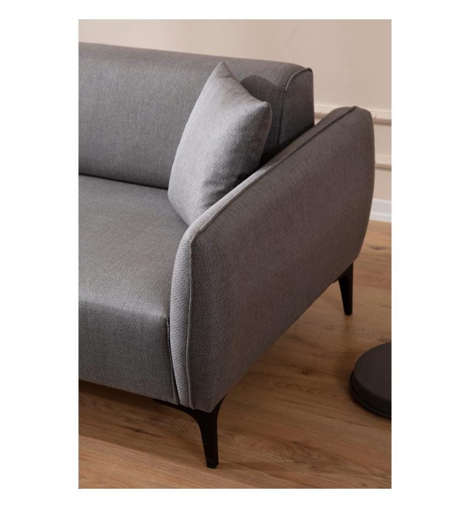 Grau, Schlafsofas, Buchenholz Rahmen , Spanplatte