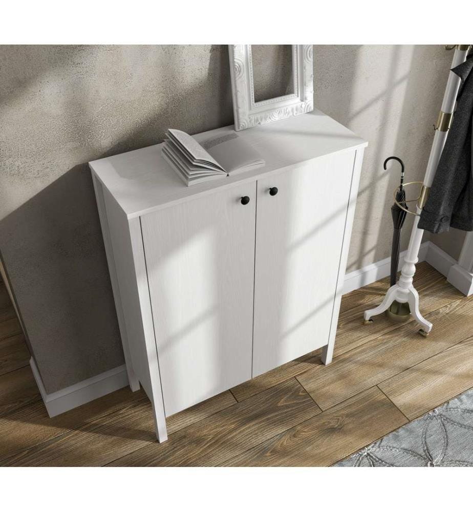 Armoire à chaussures, bois, blanc, 100 % panneau de particules mélaminé