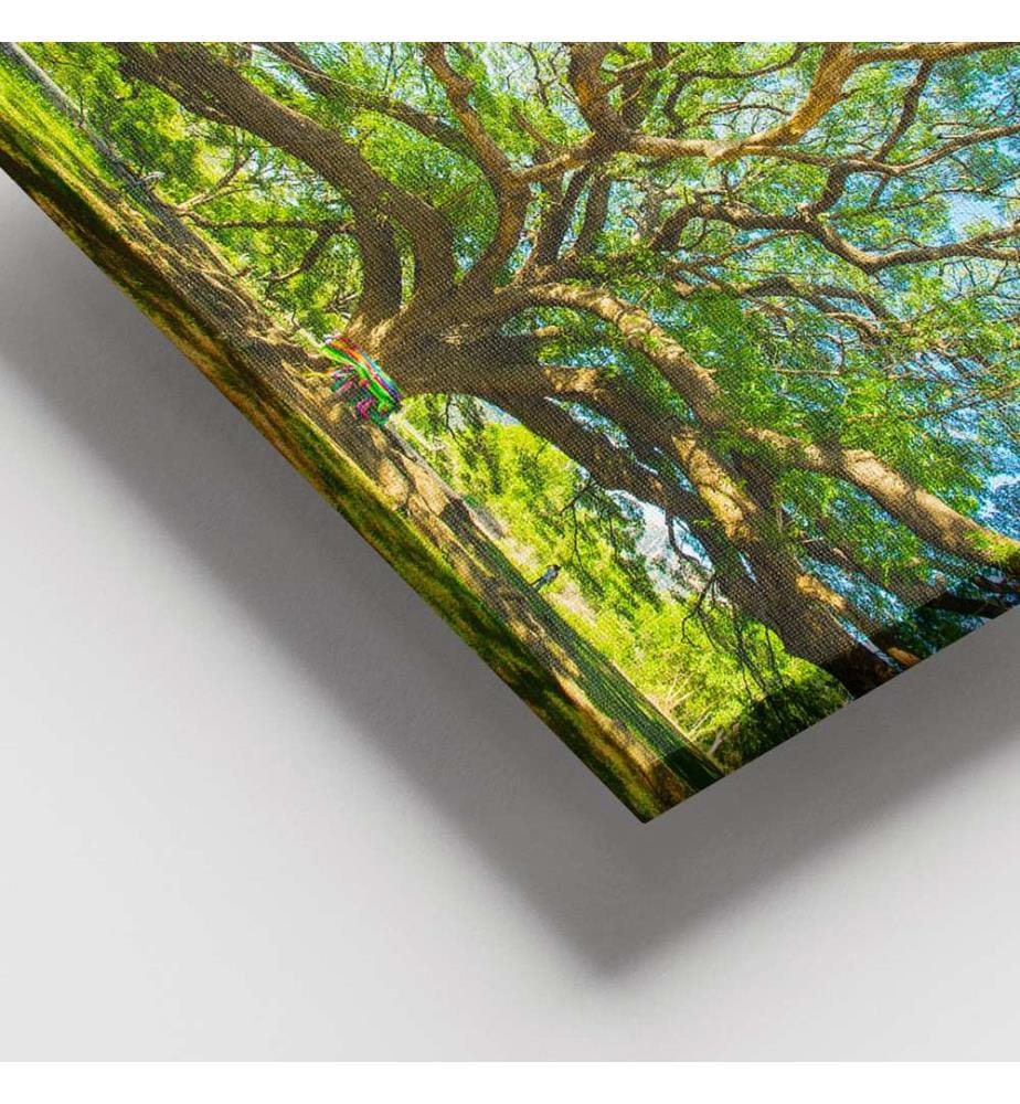 Dekoratives Leinwandbild, mehrfarbig, 100 % LEINWAND, Rahmen: 100 % HOLZ