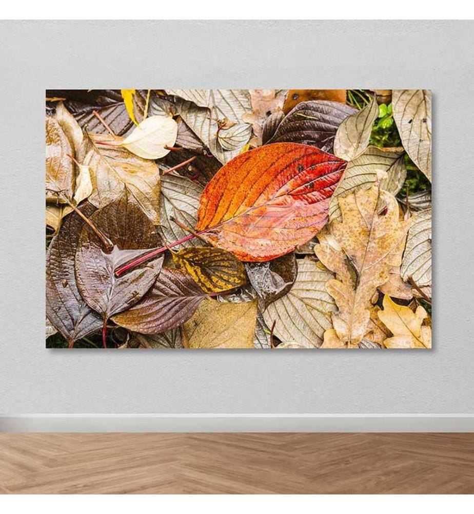 Dekoratives Leinwandbild, mehrfarbig, 100 % LEINWAND, Rahmen: 100 % HOLZ