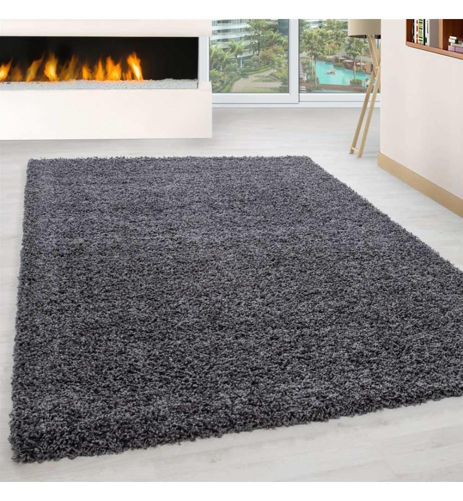 Tappeto per ingresso, grigio scuro, 100% polipropilene, 80 x 250 cm